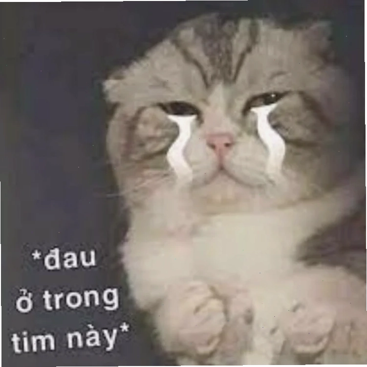 meme chó hoang mang
