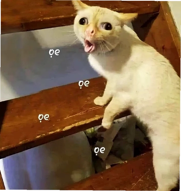 meme chó mèo