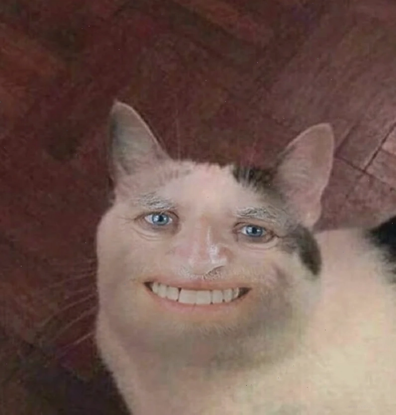 meme chó mèo