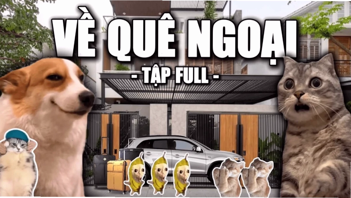 meme chó mèo