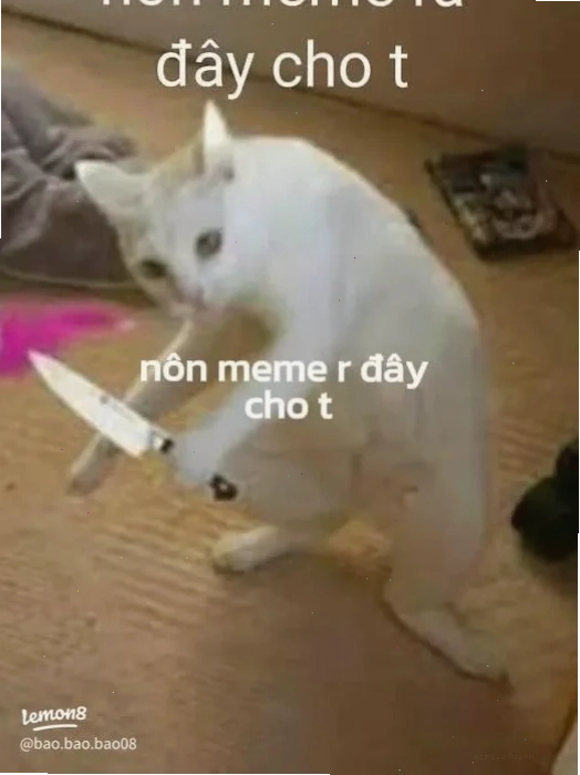 meme chó mèo