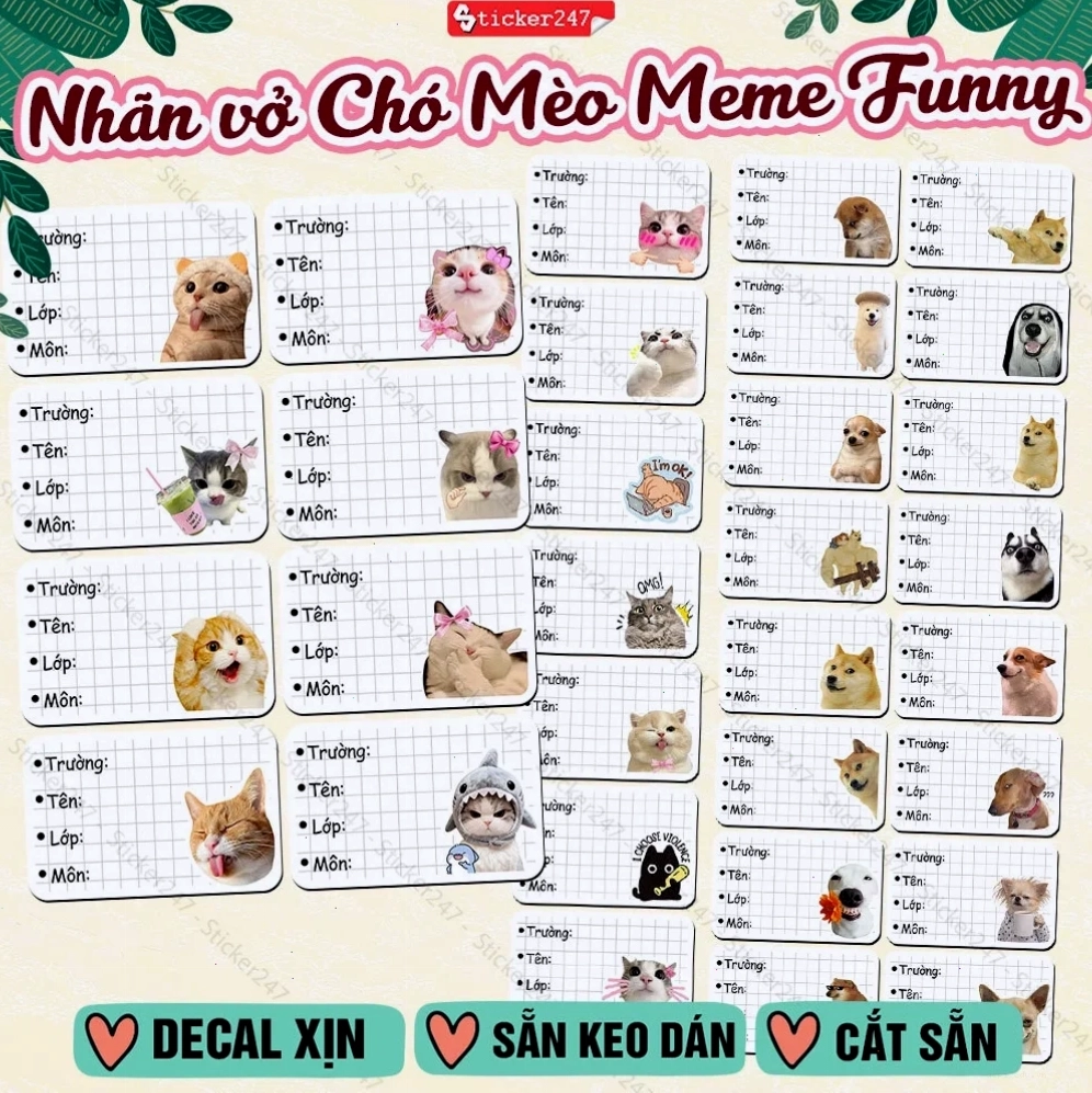 meme chó mèo