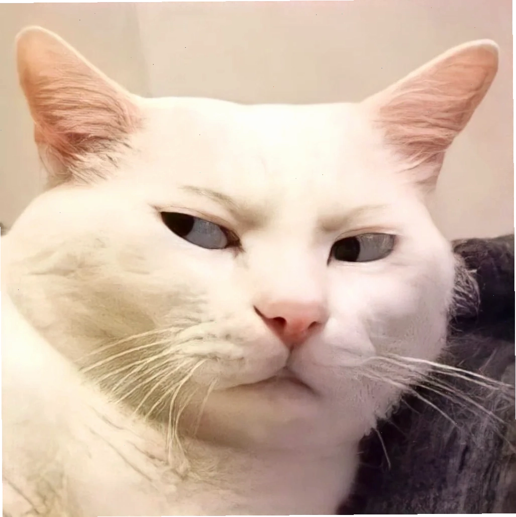meme chó mèo đánh nhau