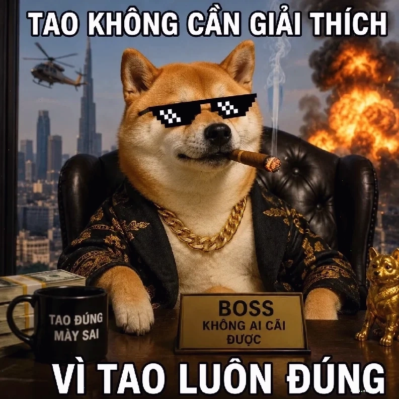 meme chó shiba ăn bánh