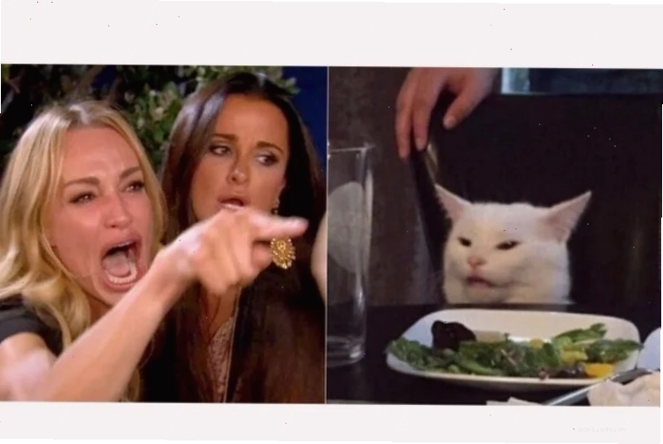 Shiba thỏa mãn Meme chó Shiba chỉ tay biểu cảm thỏa mãn
