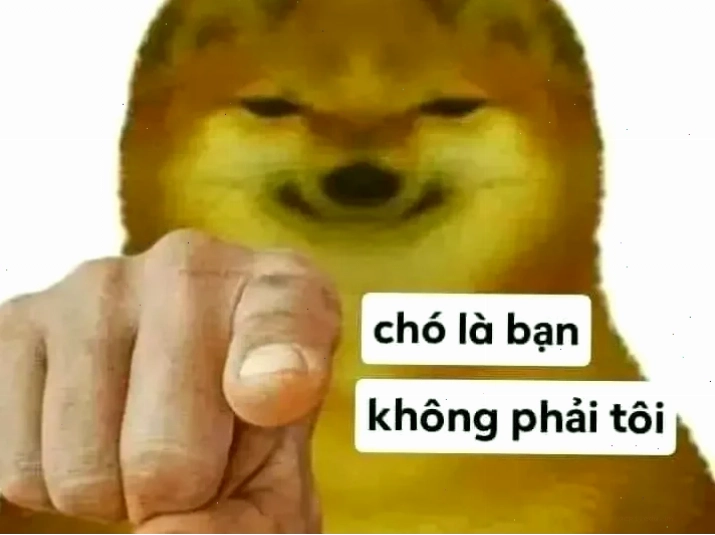 Shiba chỉ tay Meme chó Shiba chỉ tay cười khẩy