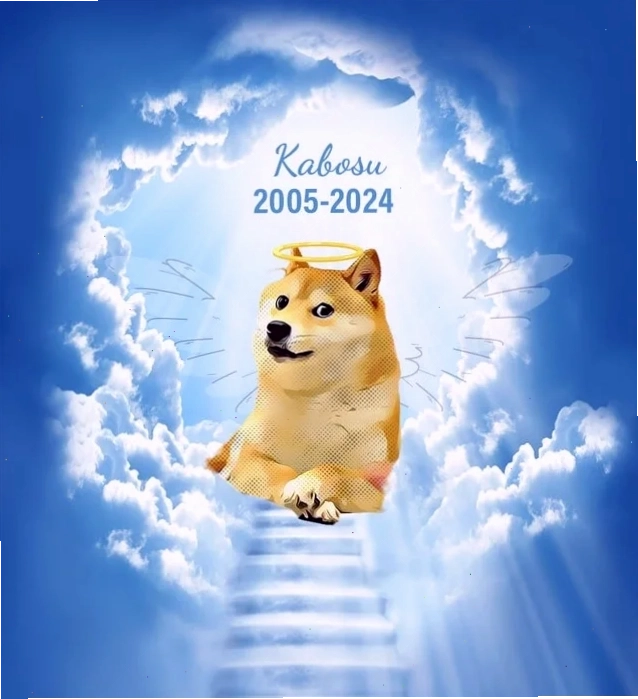 meme chó shiba cười nham hiểm