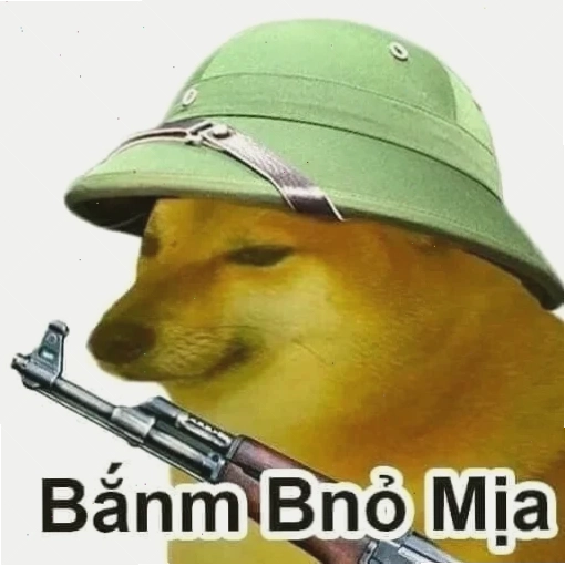 meme chó shiba đang chạy