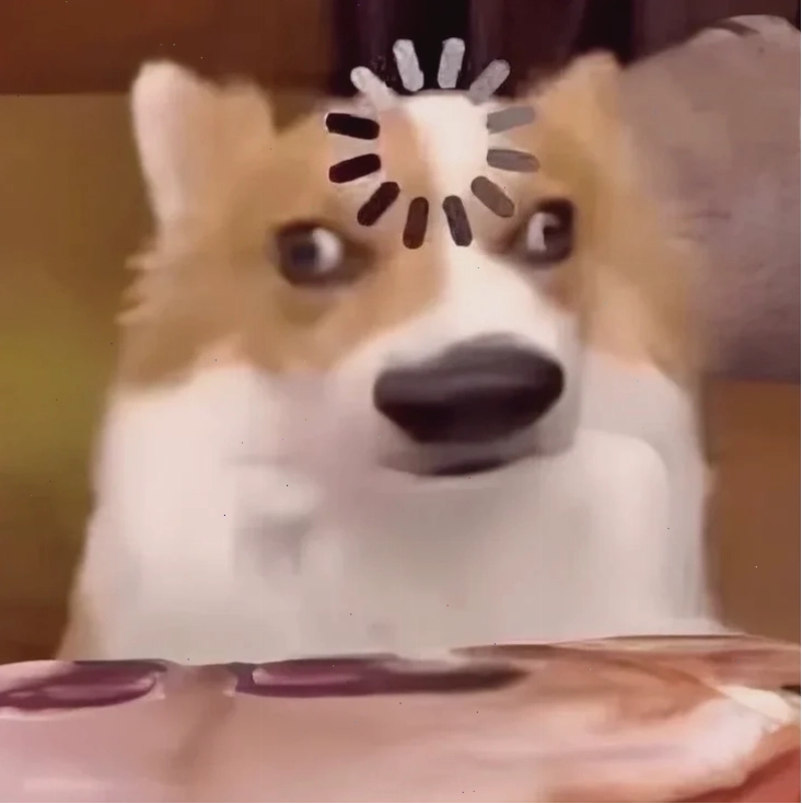meme chó shiba đi dạo