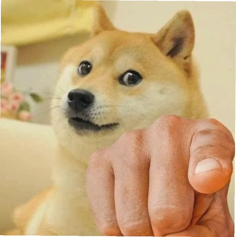 meme chó shiba đi làm