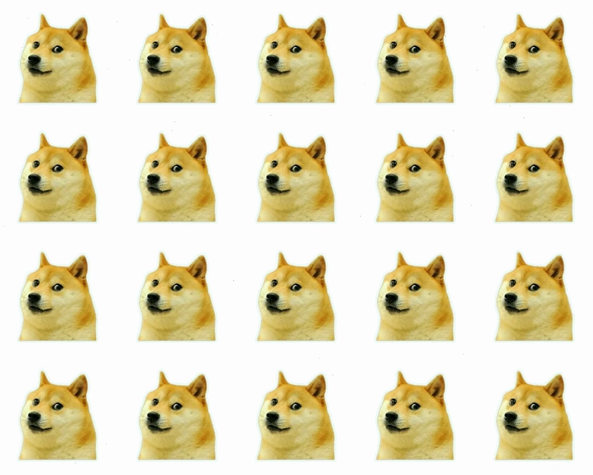 meme chó shiba đợi chủ