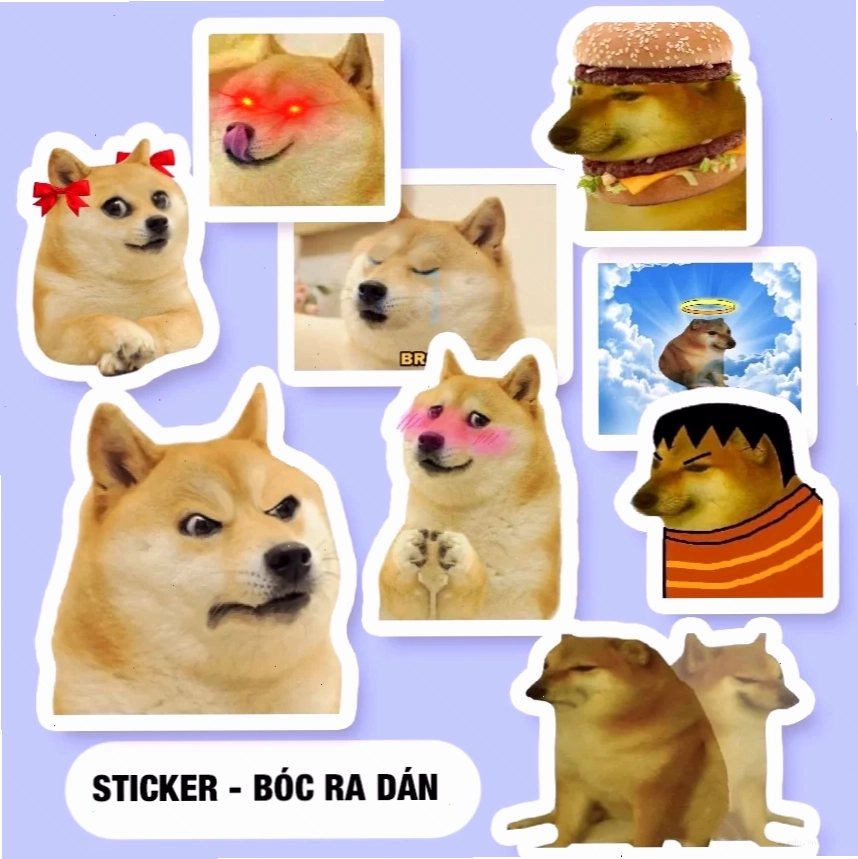 meme chó shiba làm ca sĩ