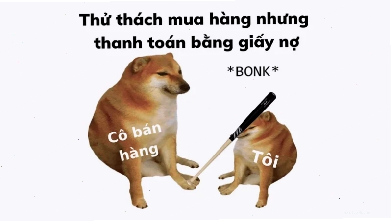 meme chó shiba ngạc nhiên