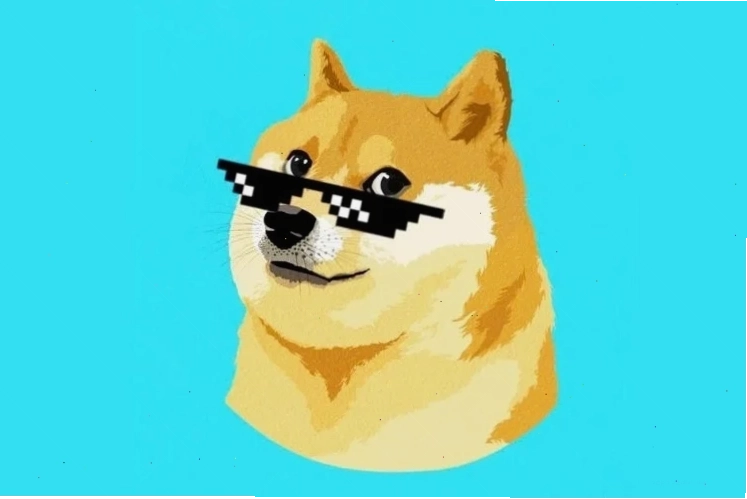 meme chó shiba với biểu cảm hài