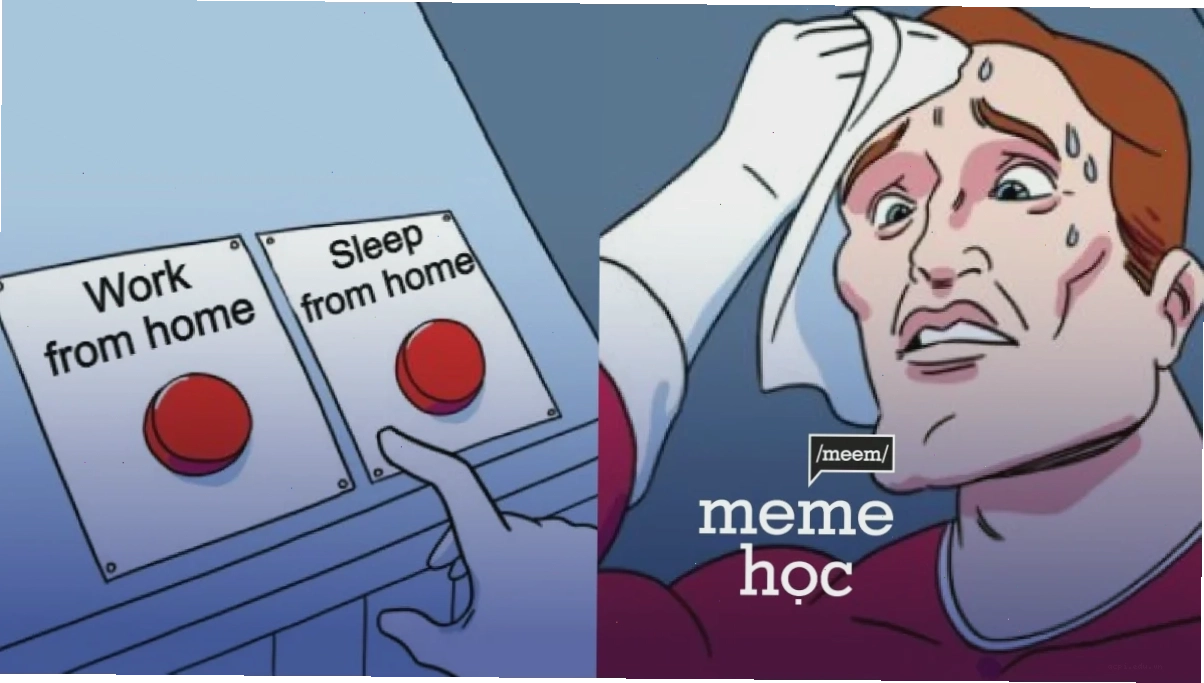 meme chọn cả hai cười nghiêng ngả