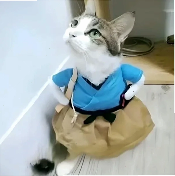 meme chống tay 13
