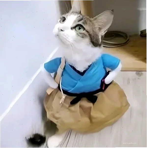 meme chống tay 13