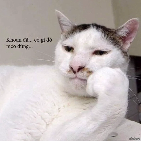 meme chống tay 18