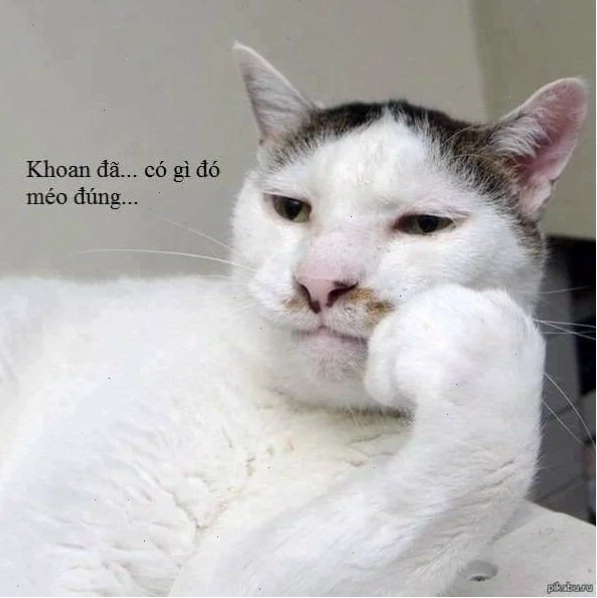 meme chống tay 18