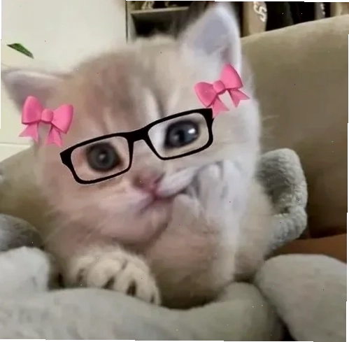 meme chống tay 22