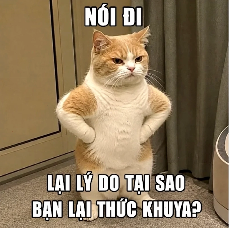meme chống tay ngầu