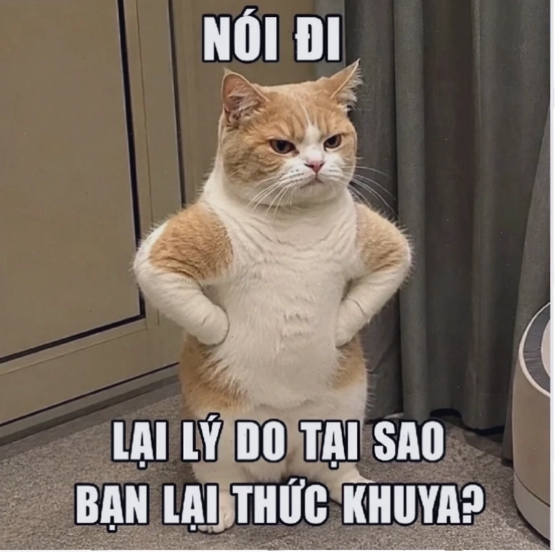 meme chống tay ngầu