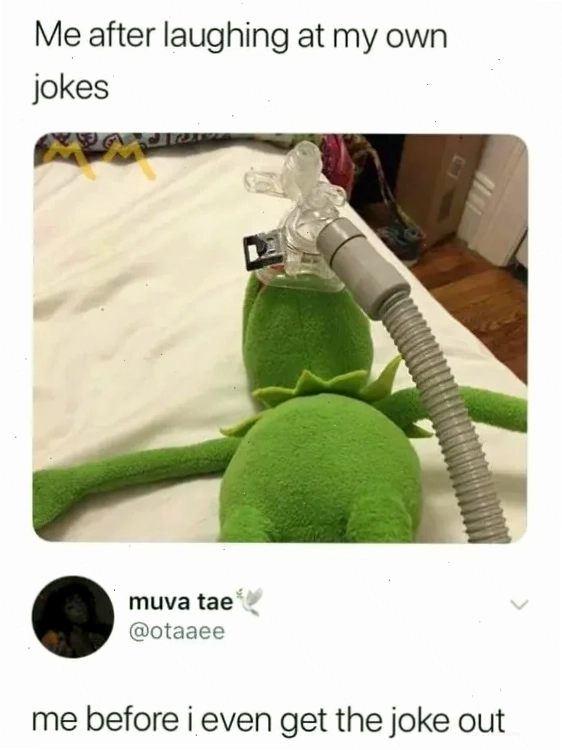 Meme chú chim dễ thương