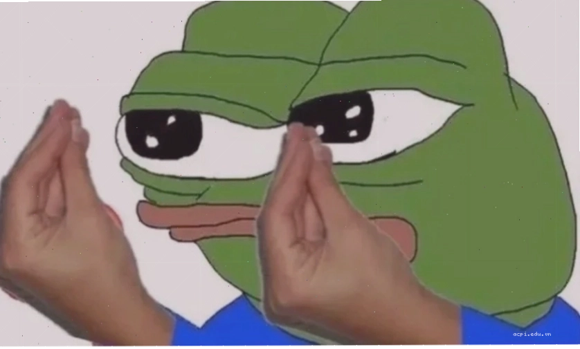 Meme chú chó đeo kính ngầu làm ảnh bìa meme fb