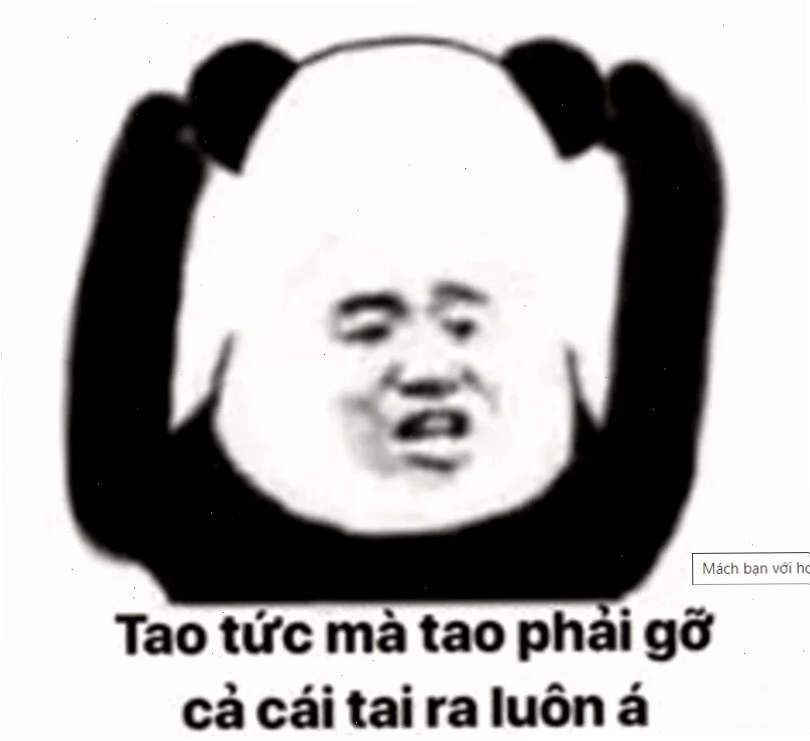 meme chú chó giận