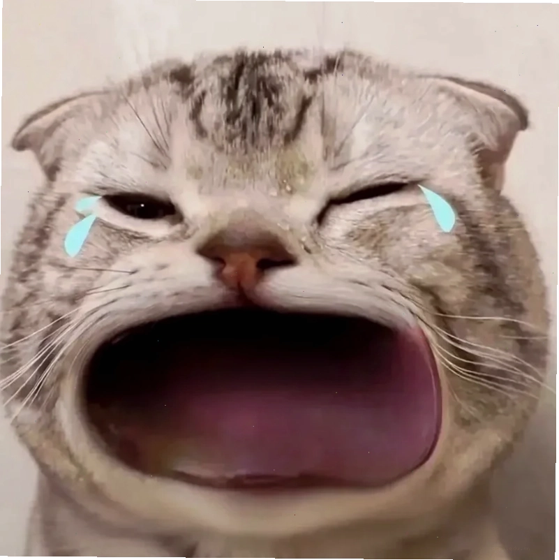 meme chu môi