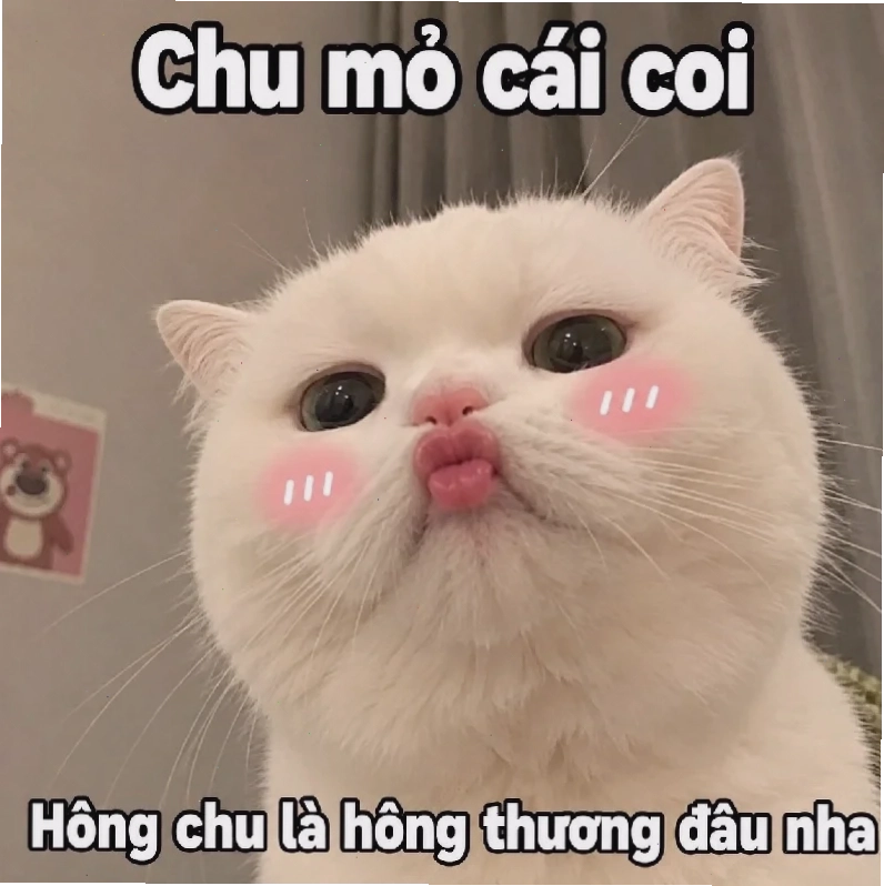 meme chu môi