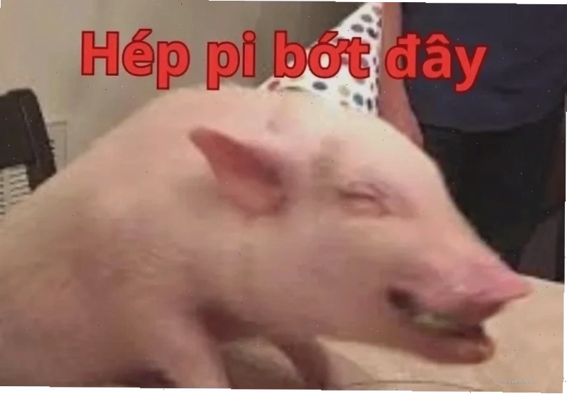 meme chúc mừng sinh nhật cute