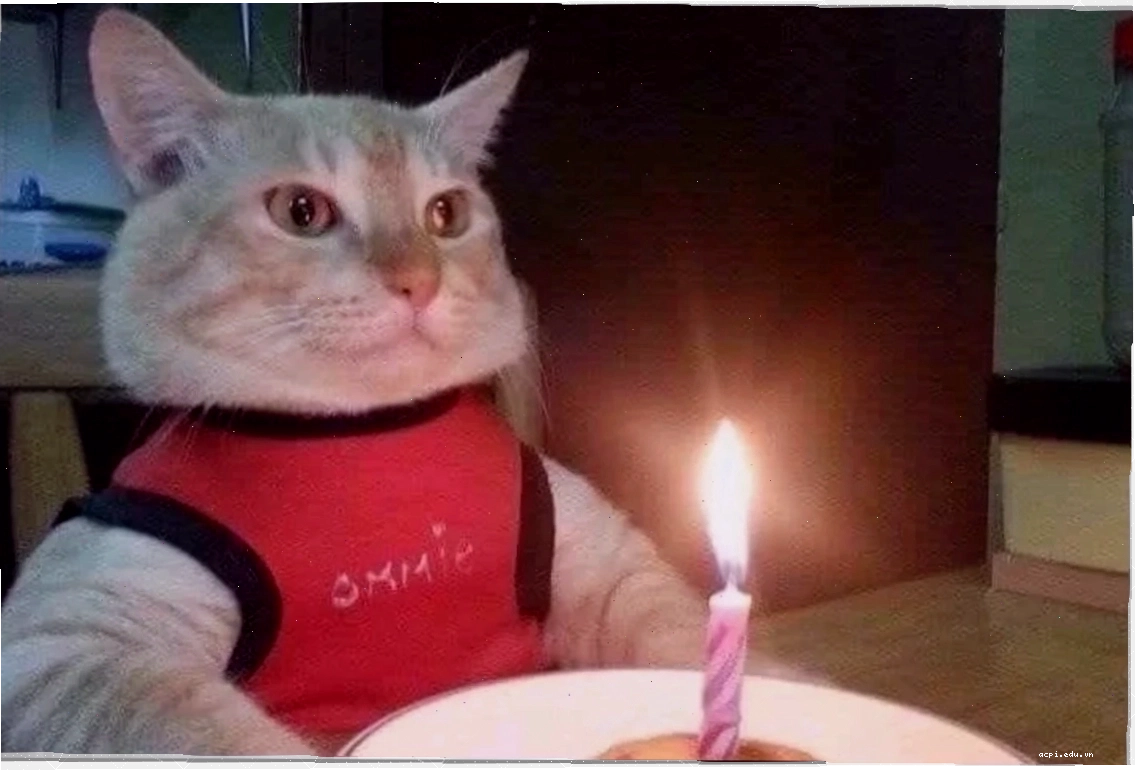 meme chúc mừng sinh nhật thú vị