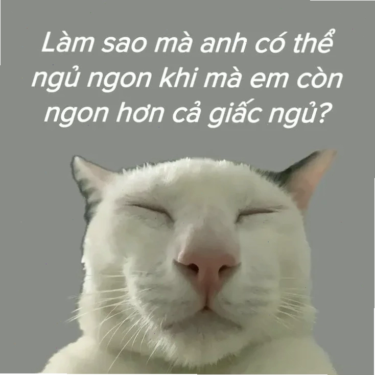 meme chúc ngủ ngon bé ngủ với anh