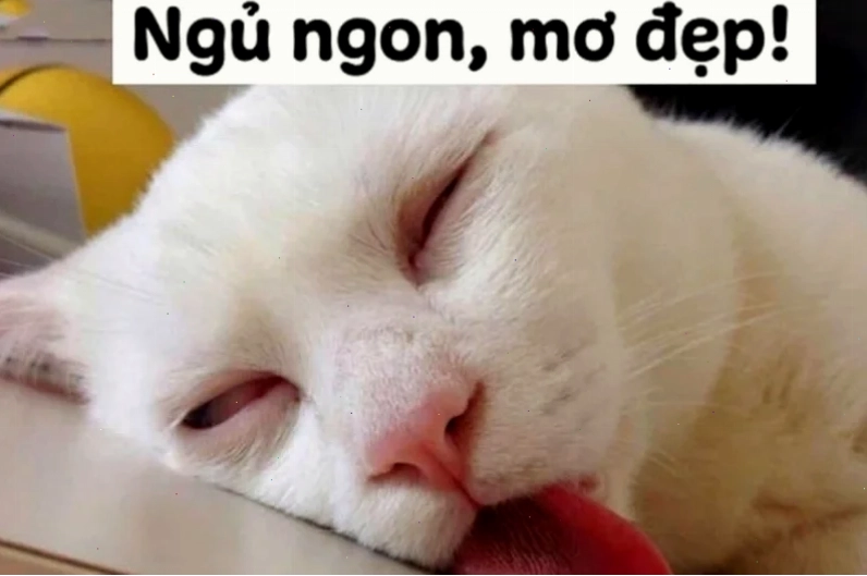 meme chúc ngủ ngon cùng hình chibi