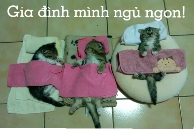 meme chúc ngủ ngon ma ghê rợn