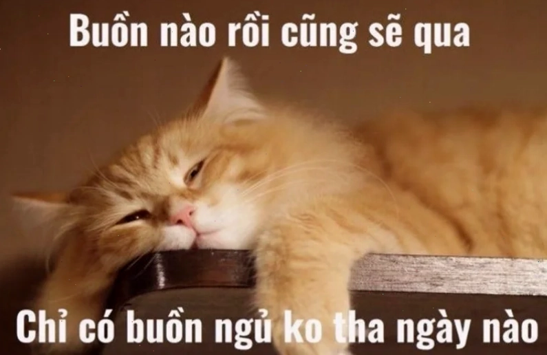 meme chúc ngủ ngon ma nữ