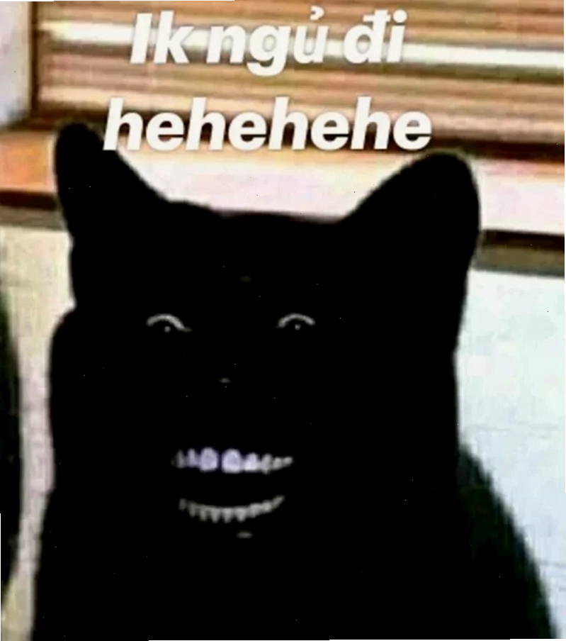 meme chúc ngủ ngon mèo an lành