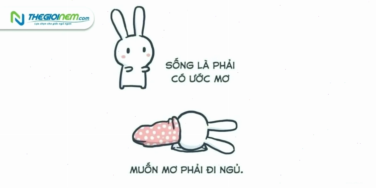 meme chúc ngủ ngon mèo chế