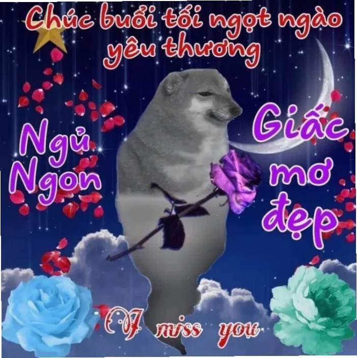 meme chúc ngủ ngon mèo quấn quýt