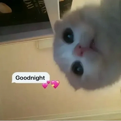 meme chúc ngủ ngon với nhân vật tấu hài
