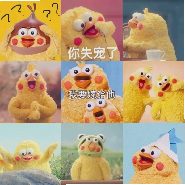 meme chuồng gà drama