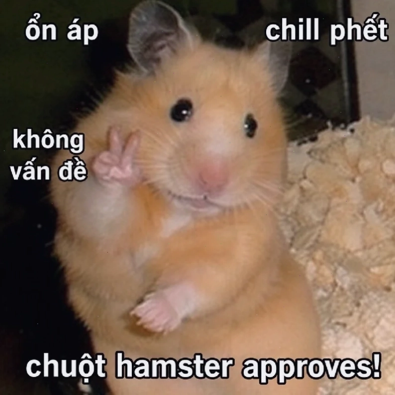 meme chuột hamster buồn