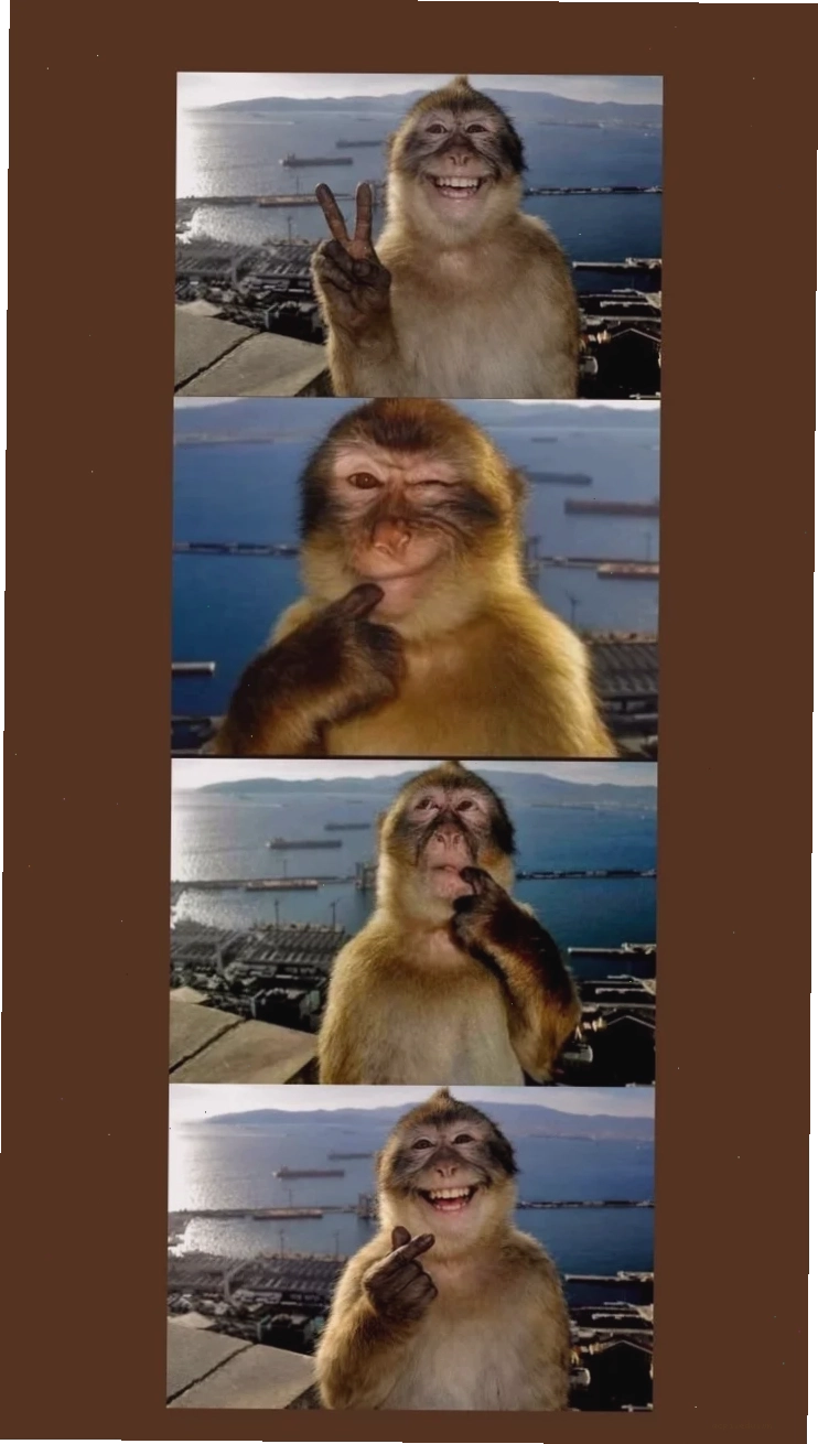 meme chụp ảnh