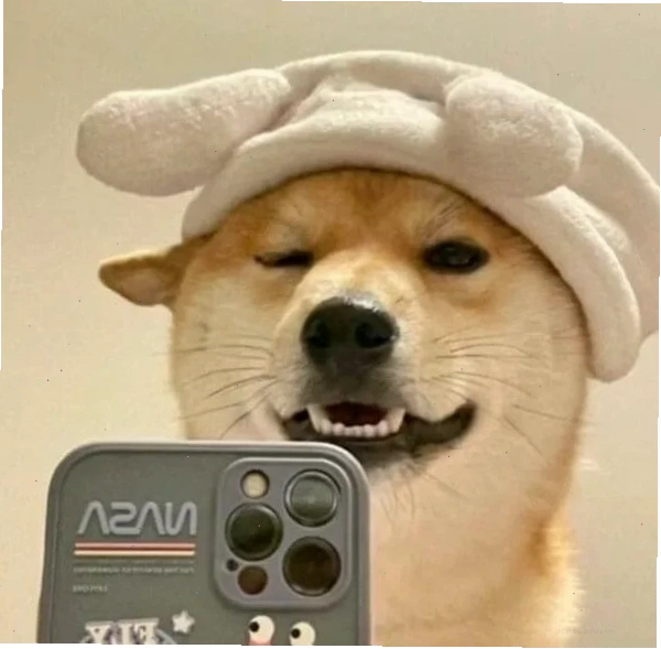meme chụp ảnh
