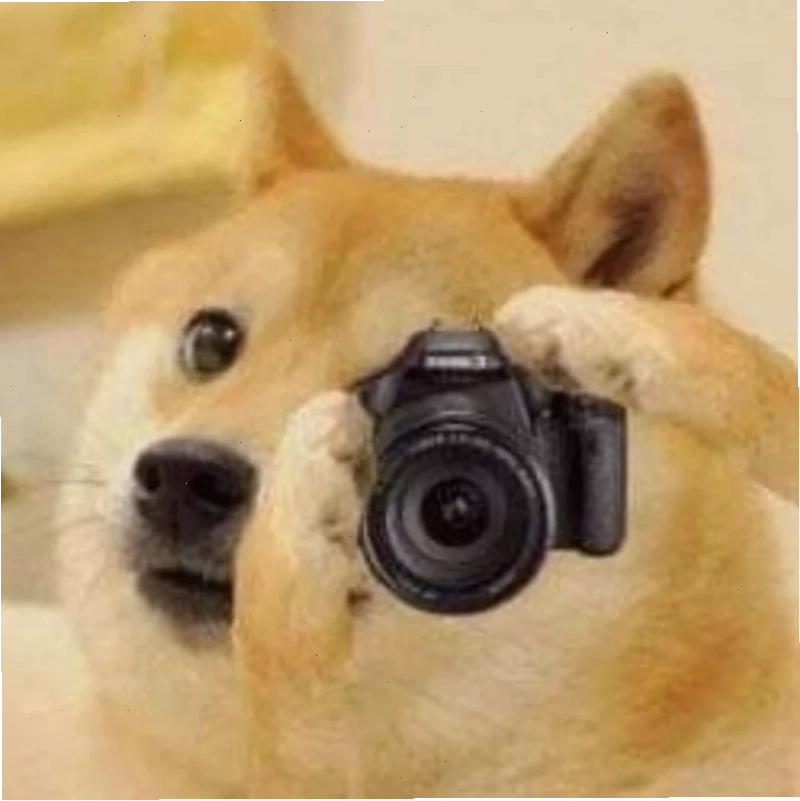 meme chụp ảnh