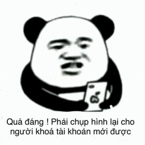 meme chụp ảnh nhóm lầy lội