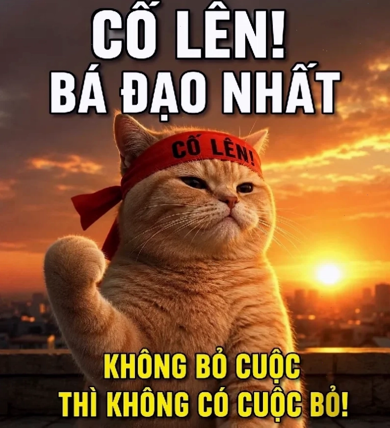 meme cô đơn dưới mưa