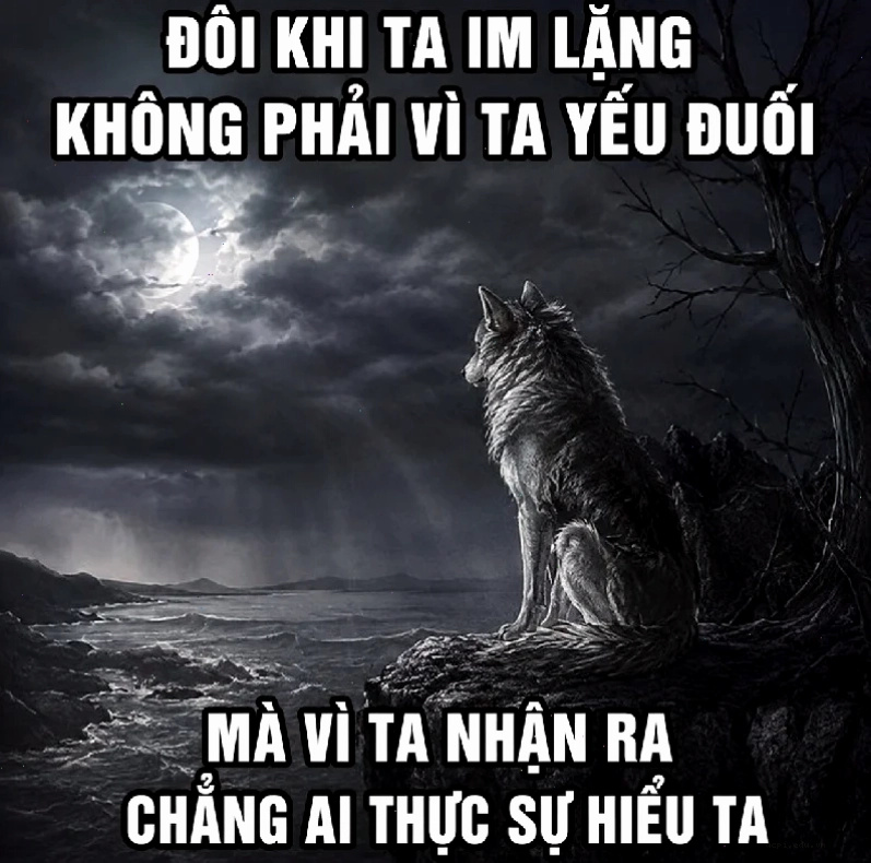 meme cô đơn khép cửa
