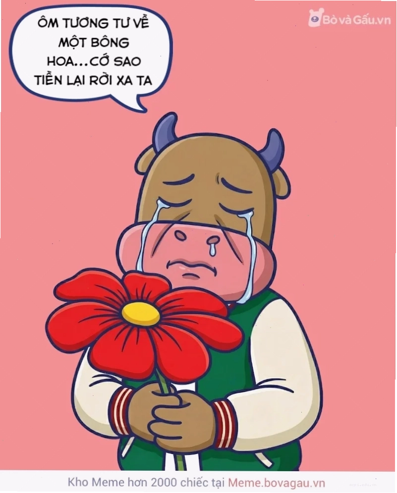 meme cô đơn trong gương